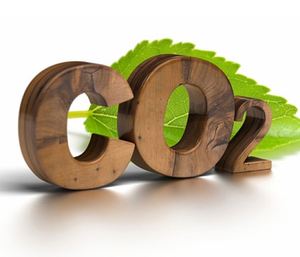 ̼CO2ѡ͵ıָ֪ܿЩ
